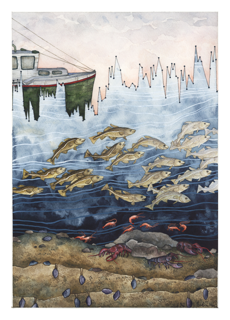 “Gulf of Maine Temperature Variability”